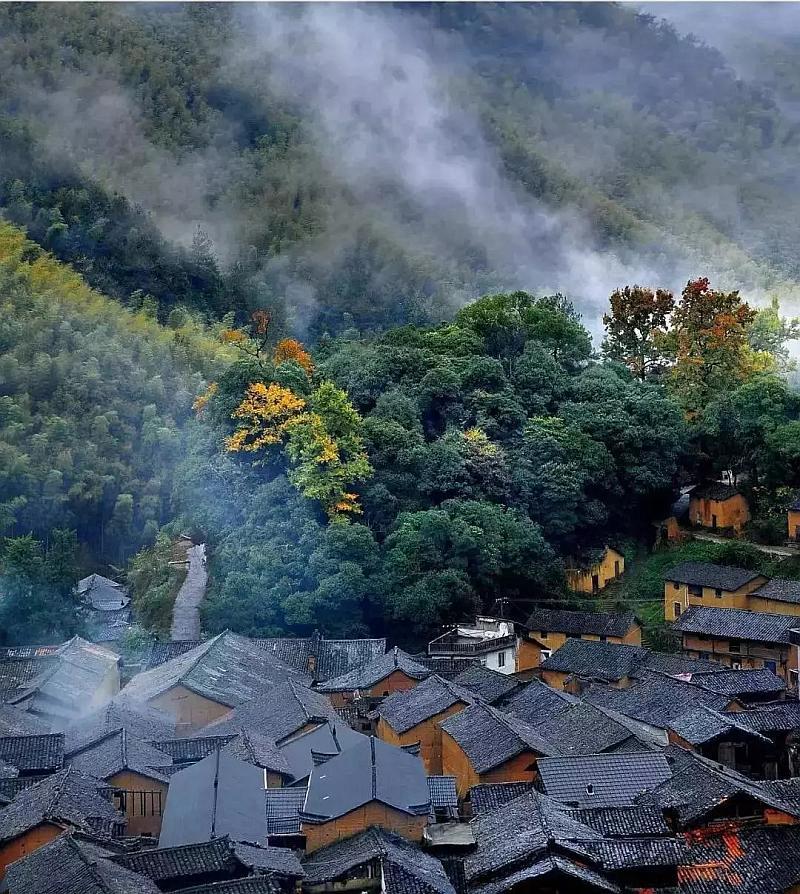 沪江开心词场